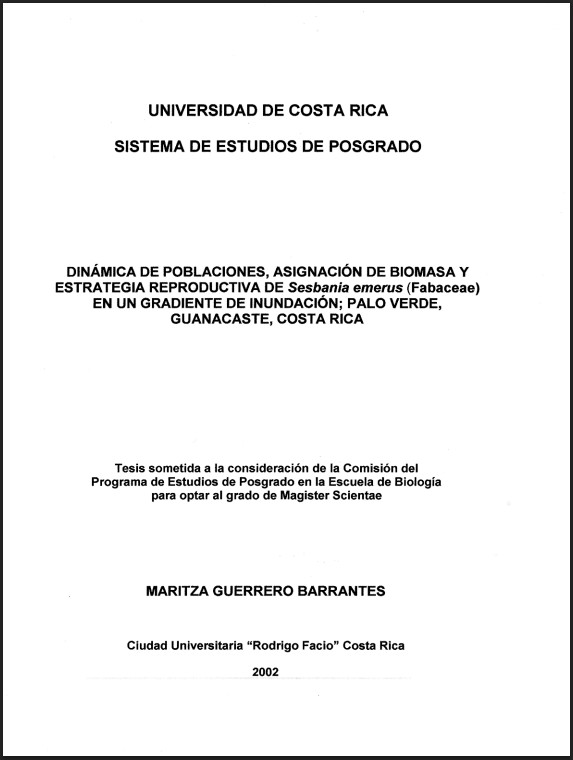 Miniatura