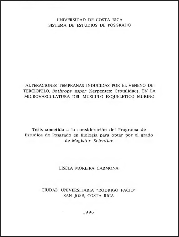 Miniatura