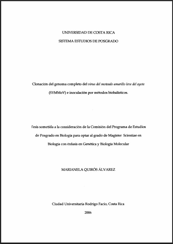 Miniatura
