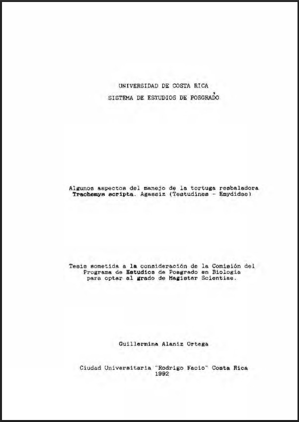 Miniatura